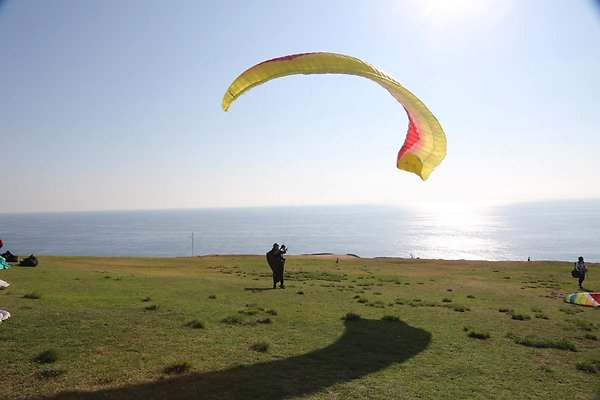 TorreyPinesGliderPort-LandingArea