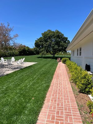 IMG 9023