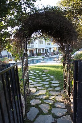 IMG 3918
